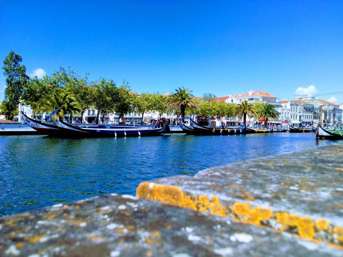 Aveiro, Ria e Arte Exterior foto