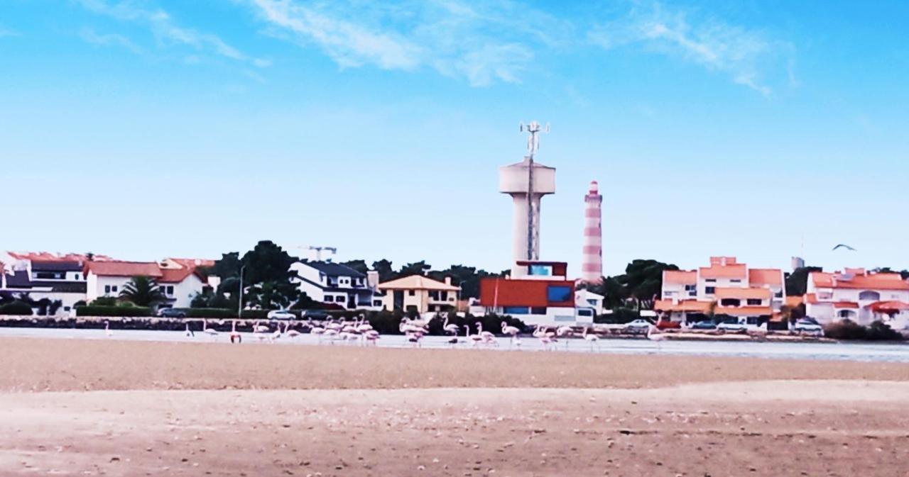 Aveiro, Ria e Arte Exterior foto